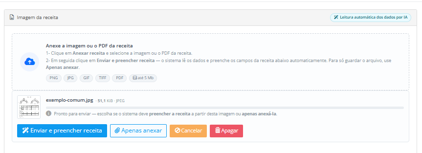 Arquivo j&aacute; escolhido, mostrando os bot&otilde;es "Enviar e preencher receita" e "Apenas anexar"